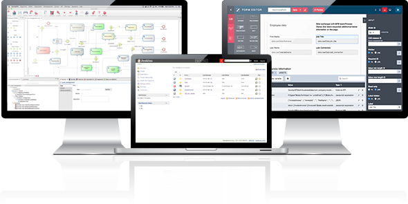software-bpm-low-code-trycore-bonita