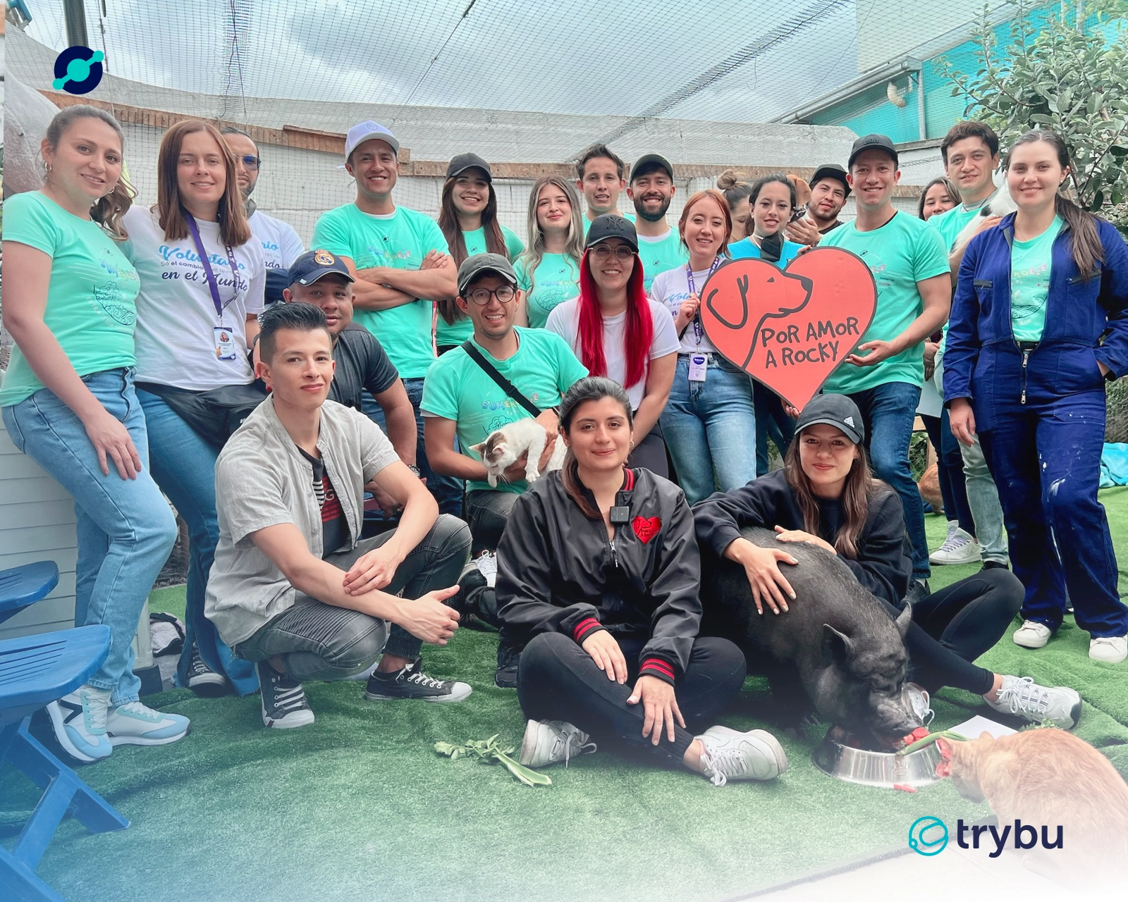 Foto_equipo-desarrollo-consultoria-rpa-bpm-trycore-colombia-petfirnedly-empresa-15